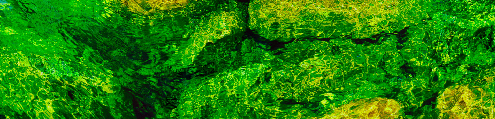 Emerald Wave, Bruce Peninsula National Park, Huron Lake, Ontario